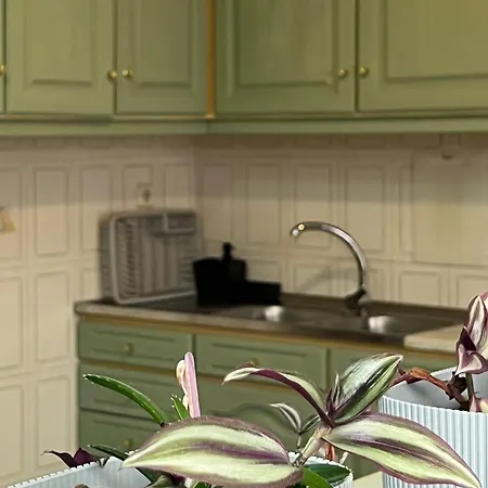 Seashell Consolacao Atouguia da Baleia