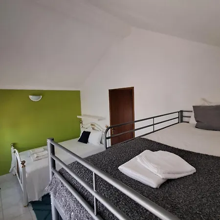 Seashell Consolacao *