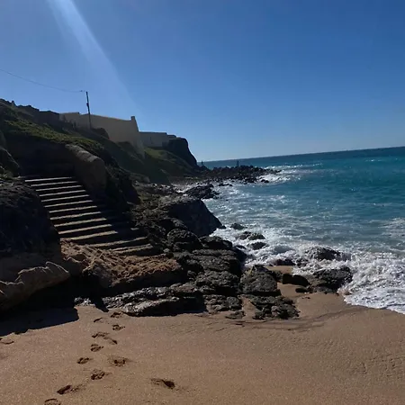 Seashell Consolacao *