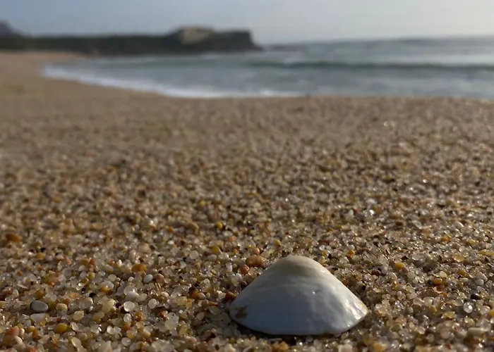 Seashell Consolação *