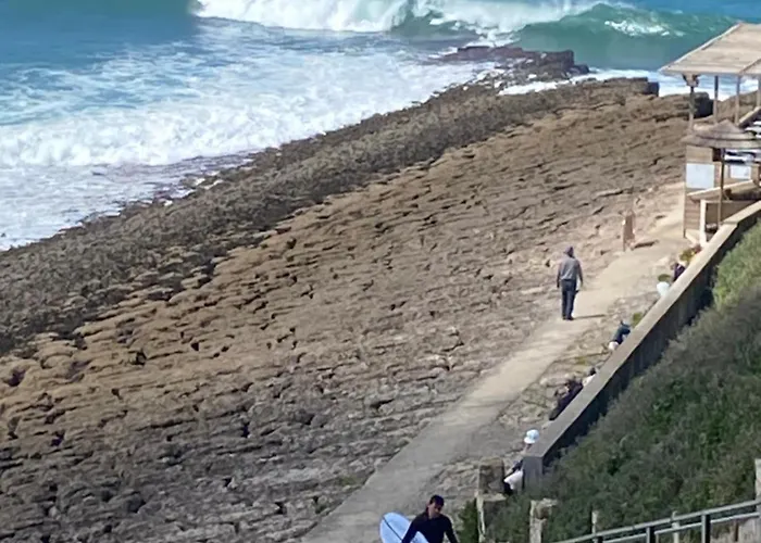 Seashell Consolação